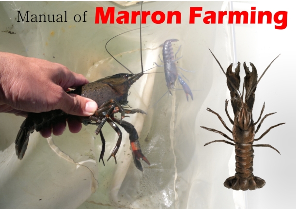 Manual of Marron Farming